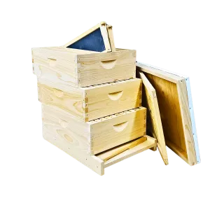 10-Frame All-Medium Box Hive Kit