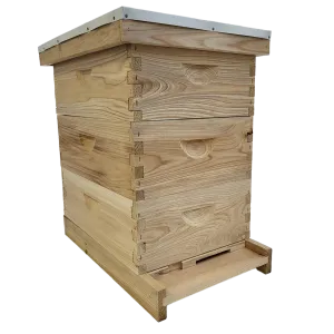 8-Frame All-Medium Box Hive Kit