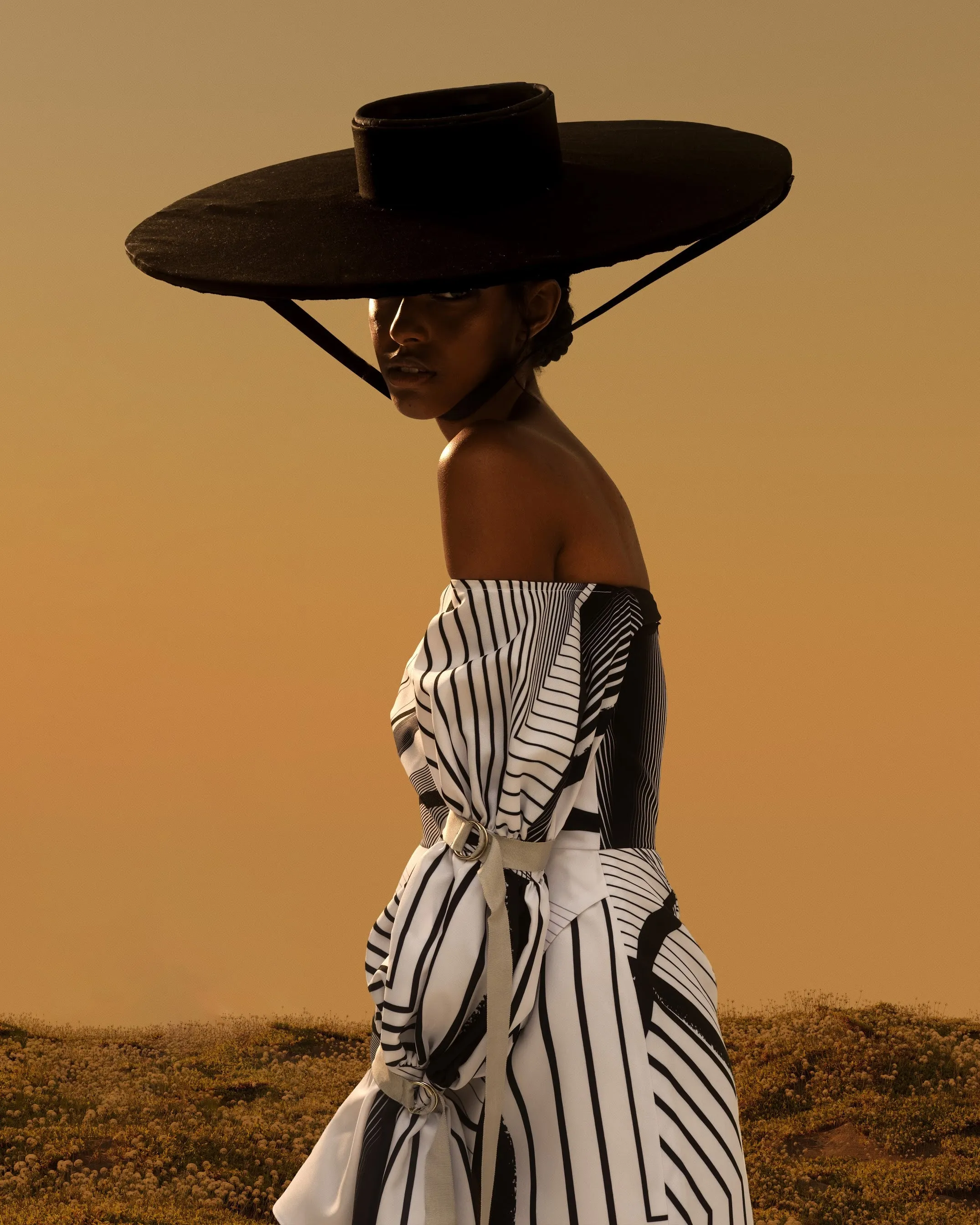 ASHA | Off-Shoulder Mini Dress in Black and White Print